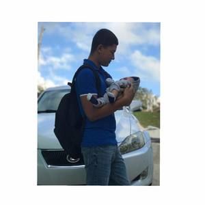 Meet your Posher, Kenneth